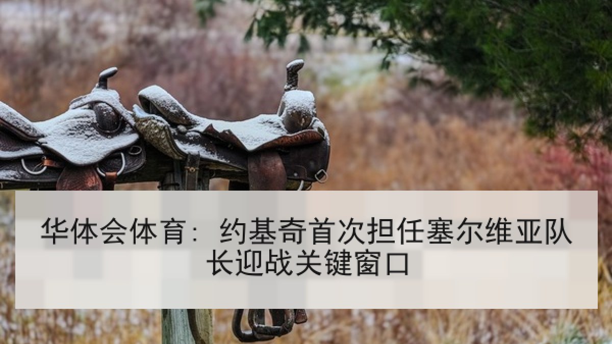 华体会体育: 约基奇首次担任塞尔维亚队长迎战关键窗口